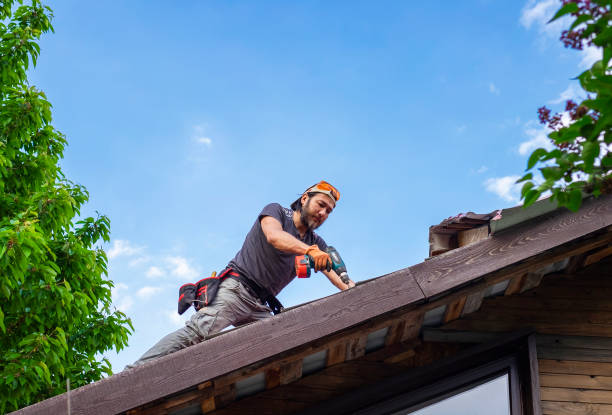 Best Roof Ventilation Installation  in Harlem Heights, FL